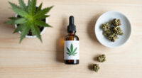 Agitation In Dementia Can Be Helped By Medical Cannabis, Study Suggests